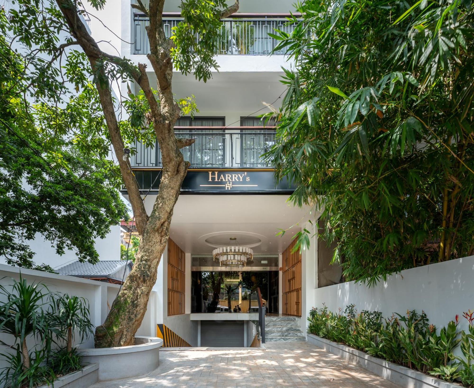 The Zenith, By Harry'S, Hanoi