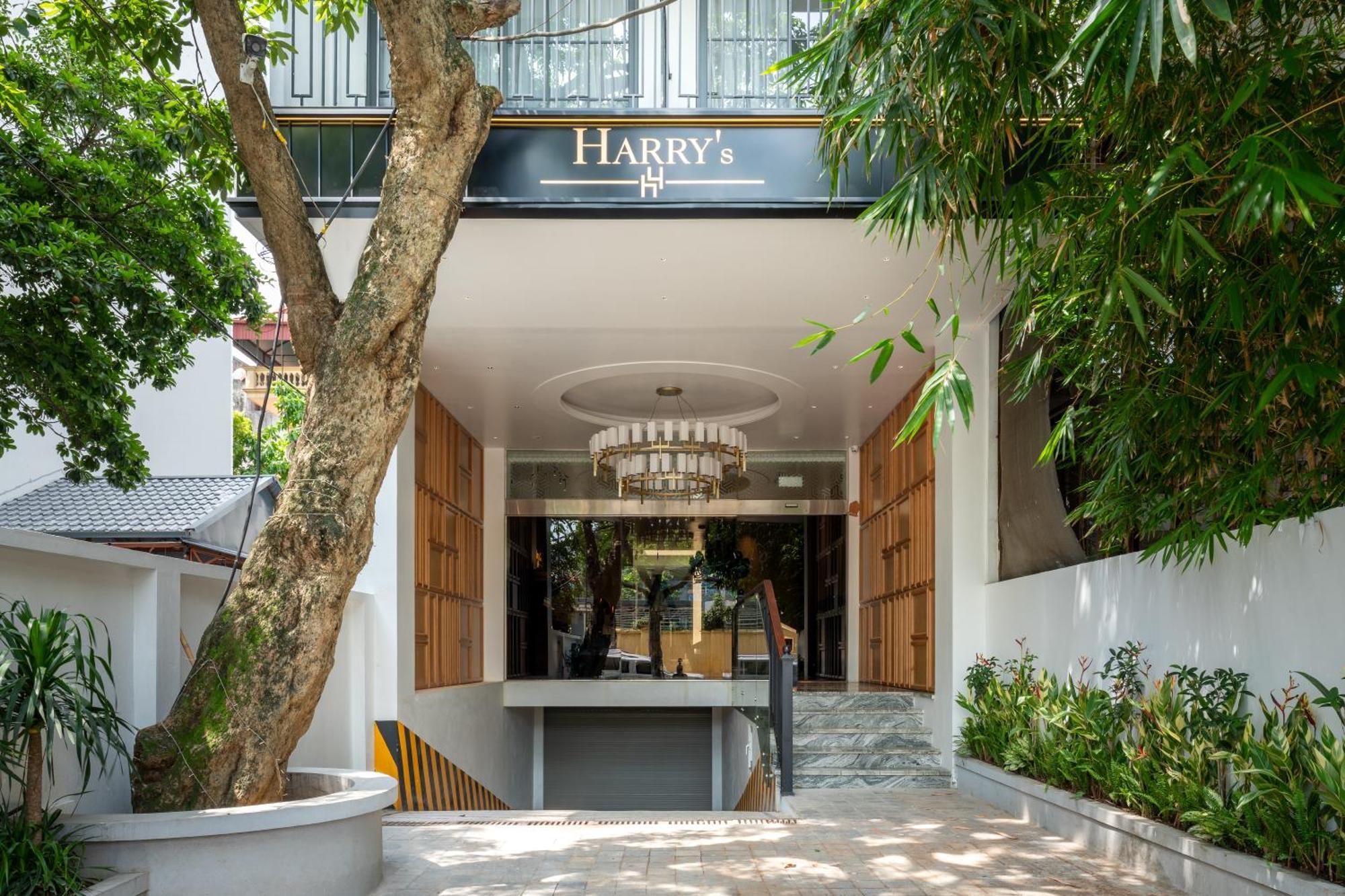 The Zenith, By Harry'S — Photos 3